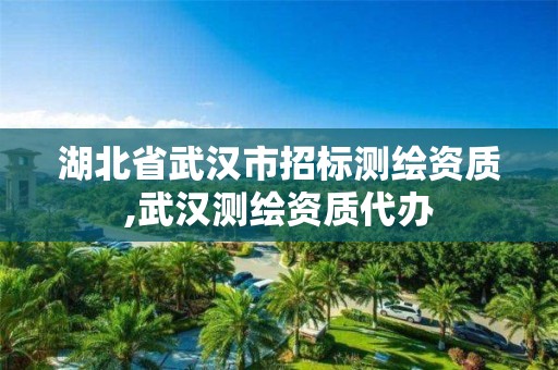 湖北省武汉市招标测绘资质,武汉测绘资质代办