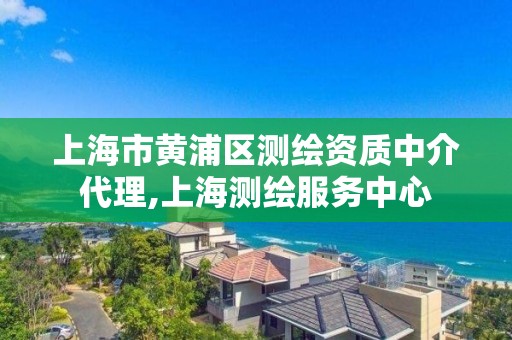 上海市黄浦区测绘资质中介代理,上海测绘服务中心