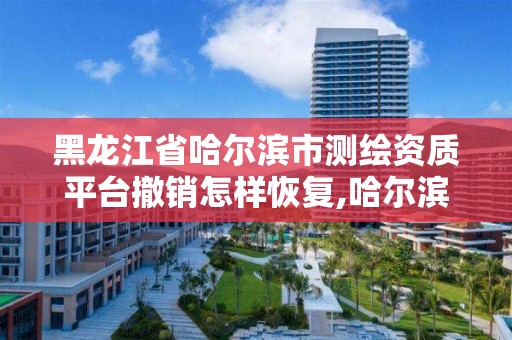 黑龙江省哈尔滨市测绘资质平台撤销怎样恢复,哈尔滨测绘局幼儿园是民办还是公办