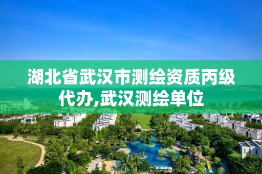 湖北省武汉市测绘资质丙级代办,武汉测绘单位