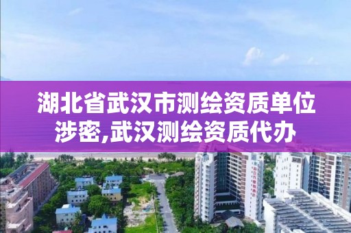 湖北省武汉市测绘资质单位涉密,武汉测绘资质代办