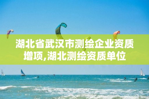 湖北省武汉市测绘企业资质增项,湖北测绘资质单位