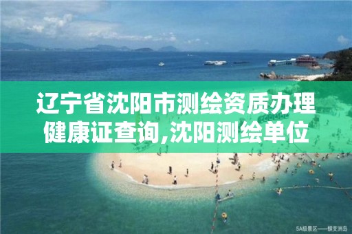 辽宁省沈阳市测绘资质办理健康证查询,沈阳测绘单位。