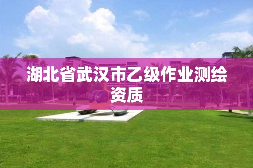 湖北省武汉市乙级作业测绘资质