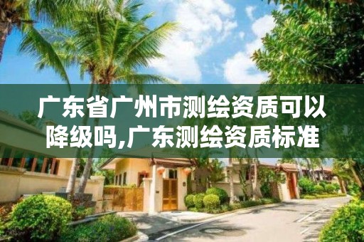 广东省广州市测绘资质可以降级吗,广东测绘资质标准