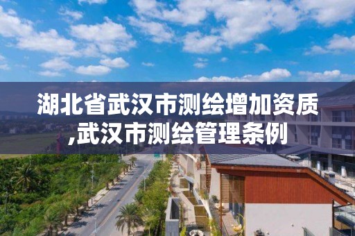 湖北省武汉市测绘增加资质,武汉市测绘管理条例