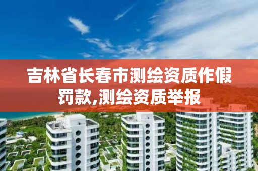 吉林省长春市测绘资质作假罚款,测绘资质举报