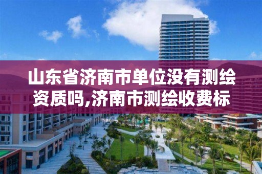 山东省济南市单位没有测绘资质吗,济南市测绘收费标准