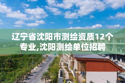 辽宁省沈阳市测绘资质12个专业,沈阳测绘单位招聘