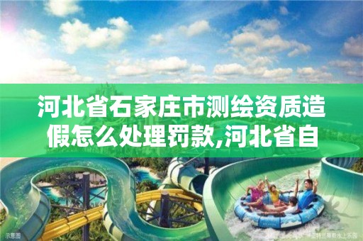 河北省石家庄市测绘资质造假怎么处理罚款,河北省自然资源厅关于延长测绘资质证书有效期的公告