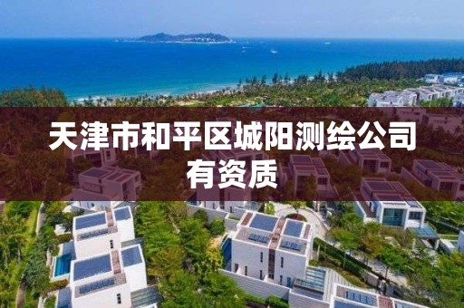 天津市和平区城阳测绘公司有资质