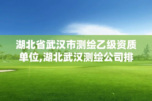 湖北省武汉市测绘乙级资质单位,湖北武汉测绘公司排行榜