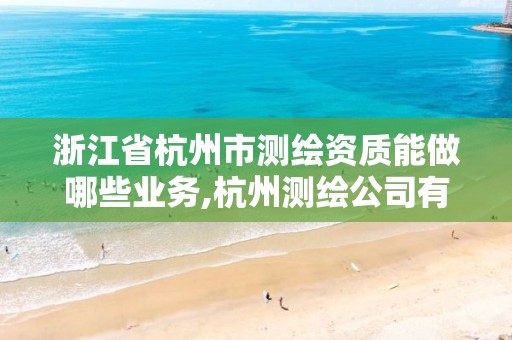 浙江省杭州市测绘资质能做哪些业务,杭州测绘公司有哪几家