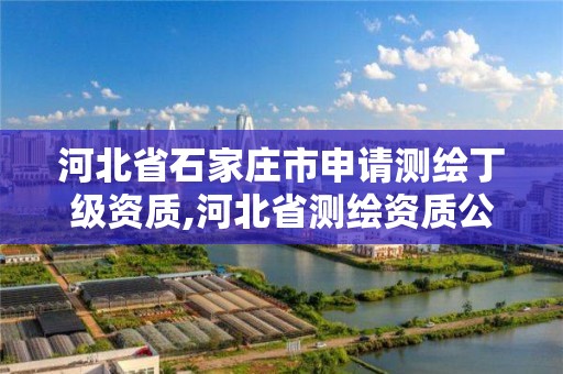 河北省石家庄市申请测绘丁级资质,河北省测绘资质公示