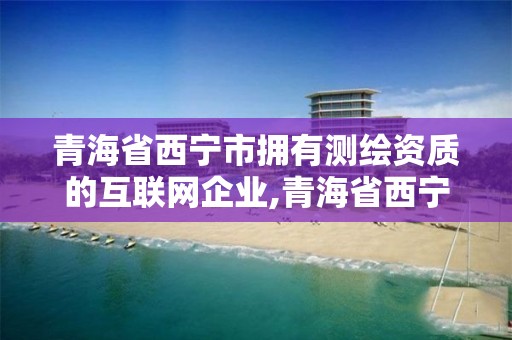 青海省西宁市拥有测绘资质的互联网企业,青海省西宁市测绘院