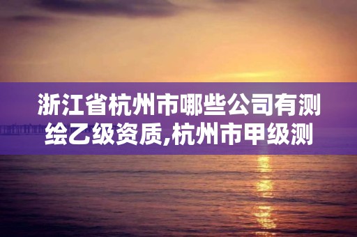 浙江省杭州市哪些公司有测绘乙级资质,杭州市甲级测绘公司