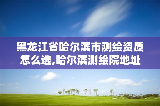 黑龙江省哈尔滨市测绘资质怎么选,哈尔滨测绘院地址