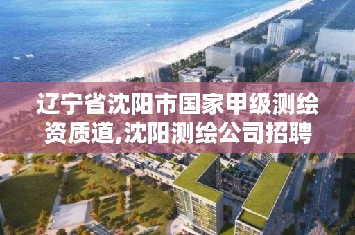 辽宁省沈阳市国家甲级测绘资质道,沈阳测绘公司招聘