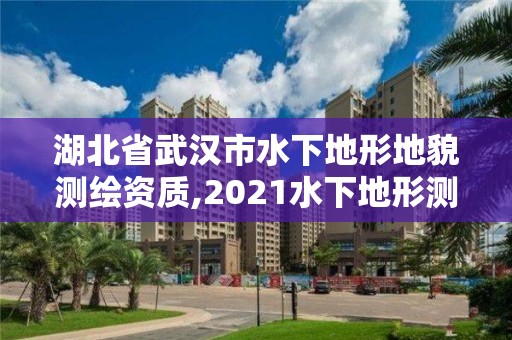 湖北省武汉市水下地形地貌测绘资质,2021水下地形测量招标