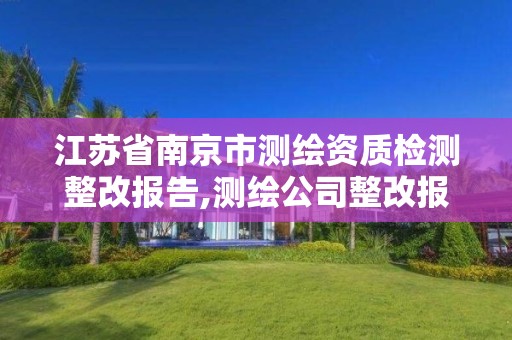 江苏省南京市测绘资质检测整改报告,测绘公司整改报告