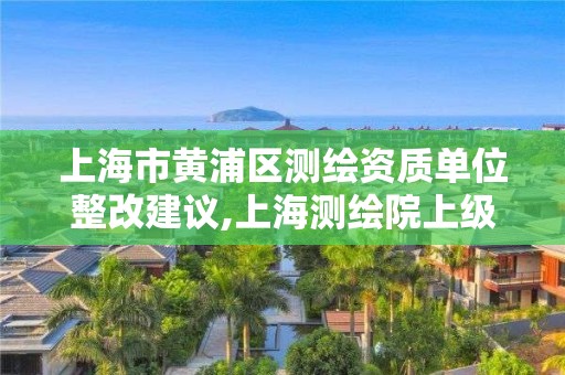 上海市黄浦区测绘资质单位整改建议,上海测绘院上级单位。