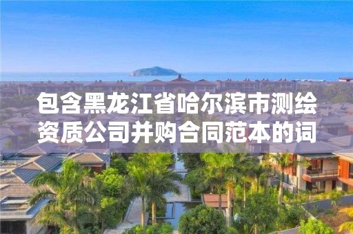 包含黑龙江省哈尔滨市测绘资质公司并购合同范本的词条