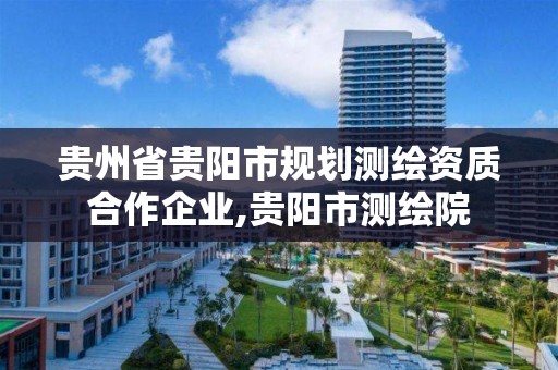 贵州省贵阳市规划测绘资质合作企业,贵阳市测绘院