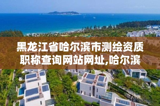 黑龙江省哈尔滨市测绘资质职称查询网站网址,哈尔滨测绘局在哪。