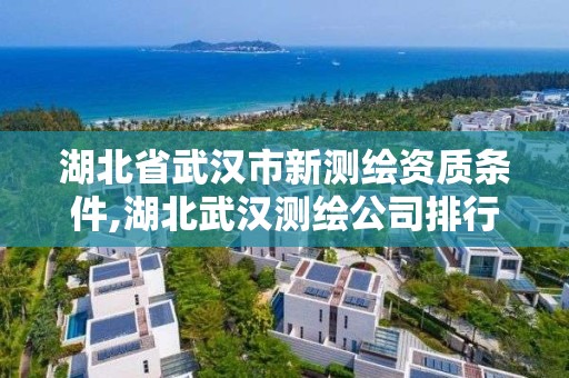 湖北省武汉市新测绘资质条件,湖北武汉测绘公司排行榜