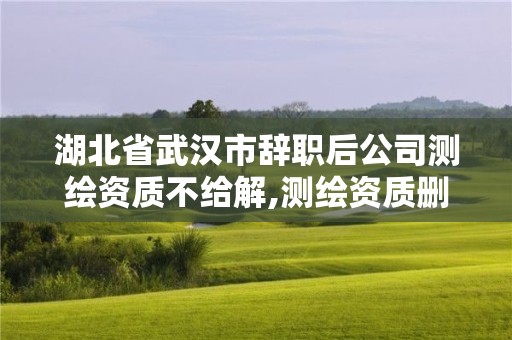 湖北省武汉市辞职后公司测绘资质不给解,测绘资质删除离职人员。