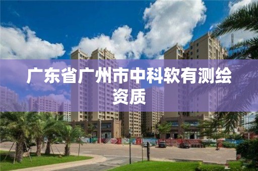 广东省广州市中科软有测绘资质