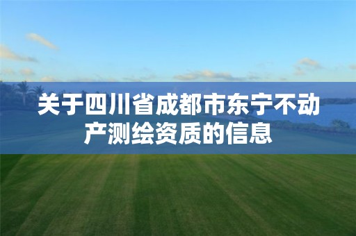 关于四川省成都市东宁不动产测绘资质的信息