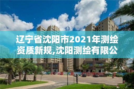 辽宁省沈阳市2021年测绘资质新规,沈阳测绘有限公司