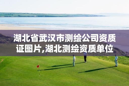 湖北省武汉市测绘公司资质证图片,湖北测绘资质单位