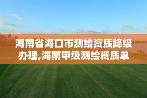 海南省海口市测绘资质降级办理,海南甲级测绘资质单位 海南省海口市测绘资质降级办理,海南甲级测绘资质单位