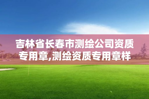 吉林省长春市测绘公司资质专用章,测绘资质专用章样式图