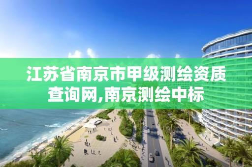 江苏省南京市甲级测绘资质查询网,南京测绘中标