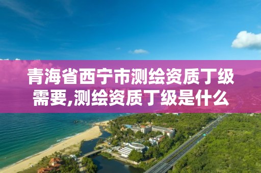 青海省西宁市测绘资质丁级需要,测绘资质丁级是什么意思