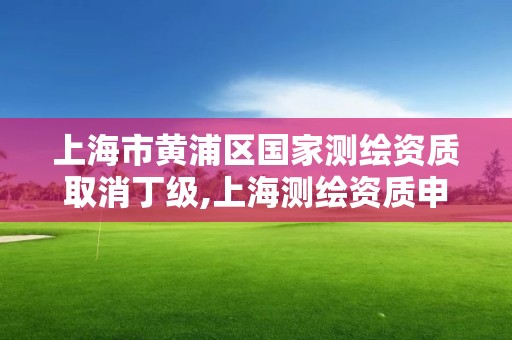 上海市黄浦区国家测绘资质取消丁级,上海测绘资质申请