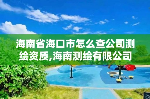 海南省海口市怎么查公司测绘资质,海南测绘有限公司