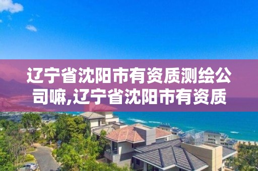 辽宁省沈阳市有资质测绘公司嘛,辽宁省沈阳市有资质测绘公司嘛在哪