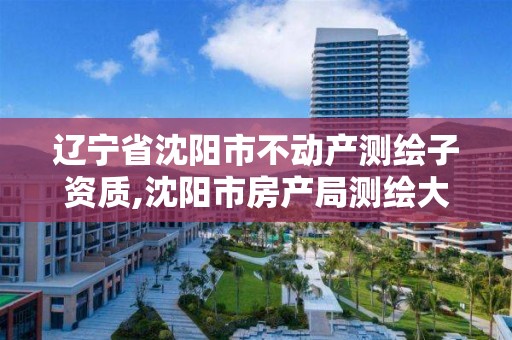 辽宁省沈阳市不动产测绘子资质,沈阳市房产局测绘大队在哪