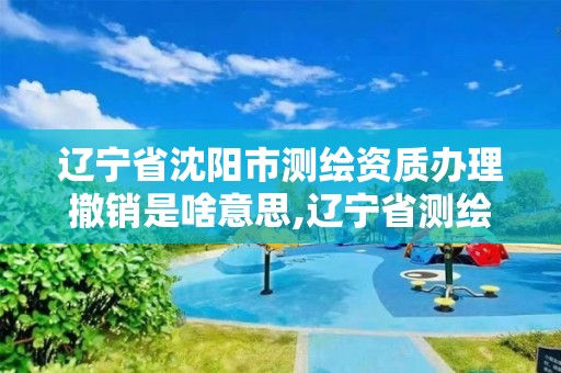 辽宁省沈阳市测绘资质办理撤销是啥意思,辽宁省测绘资质延期。