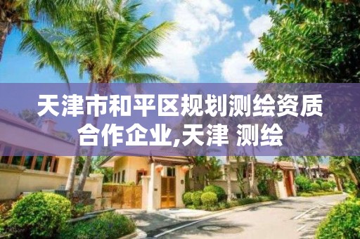 天津市和平区规划测绘资质合作企业,天津 测绘