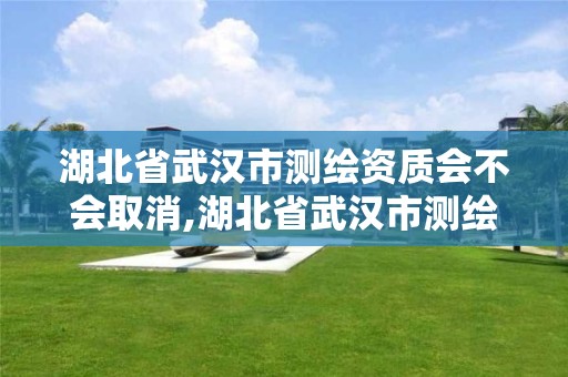 湖北省武汉市测绘资质会不会取消,湖北省武汉市测绘资质会不会取消考试