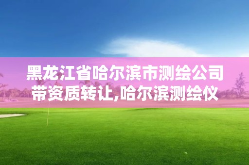 黑龙江省哈尔滨市测绘公司带资质转让,哈尔滨测绘仪器