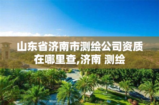 山东省济南市测绘公司资质在哪里查,济南 测绘