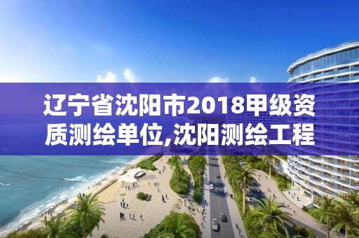 辽宁省沈阳市2018甲级资质测绘单位,沈阳测绘工程