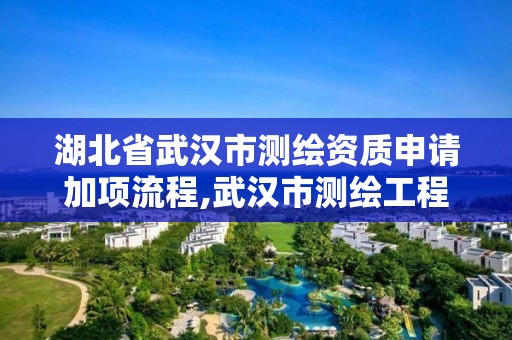 湖北省武汉市测绘资质申请加项流程,武汉市测绘工程技术规定