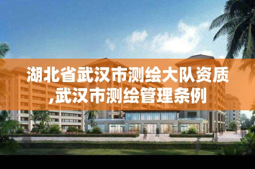 湖北省武汉市测绘大队资质,武汉市测绘管理条例